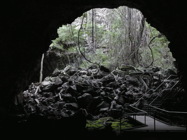 Undara lava tubes were created as rivers of hot lava flowed across the land some 190,000 years ago.
